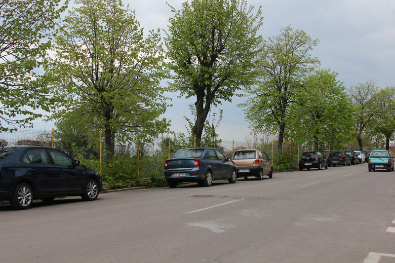 natura musca din faleza terenul a luat o la vale fin co ge ro eminescu street project un proiect facut natura musca din faleza terenul a luat o la vale fin co ge ro eminescu street project un proiect facut