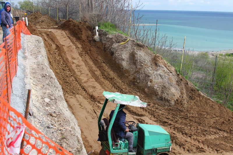 natura musca din faleza terenul a luat o la vale fin co ge ro eminescu street project un proiect facut natura musca din faleza terenul a luat o la vale fin co ge ro eminescu street project un proiect facut