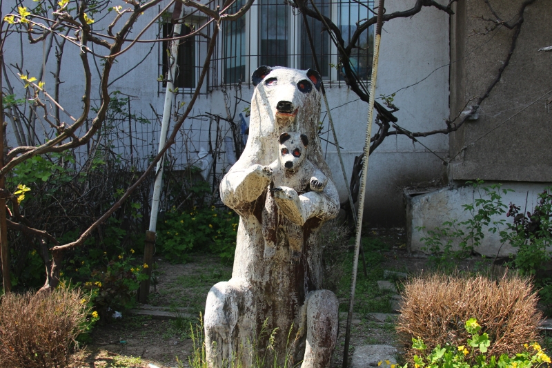 gradinile zoologice din fata blocurilor din constanta 545593 gradinile zoologice din fata blocurilor din constanta 545593