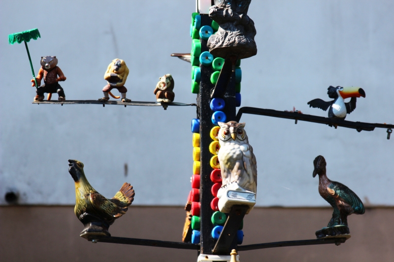 gradinile zoologice din fata blocurilor din constanta 545593 gradinile zoologice din fata blocurilor din constanta 545593