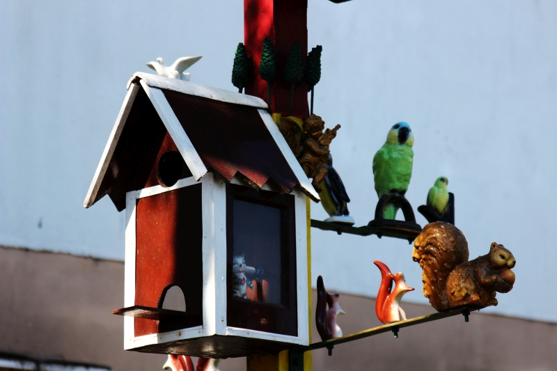 gradinile zoologice din fata blocurilor din constanta 545593 gradinile zoologice din fata blocurilor din constanta 545593