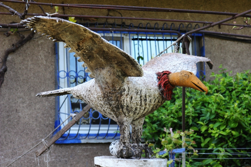 gradinile zoologice din fata blocurilor din constanta 545593 gradinile zoologice din fata blocurilor din constanta 545593