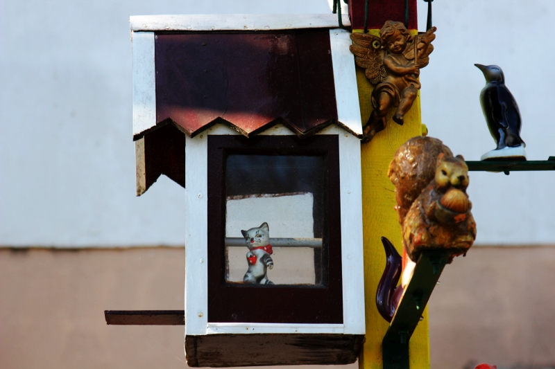 gradinile zoologice din fata blocurilor din constanta 545593 gradinile zoologice din fata blocurilor din constanta 545593