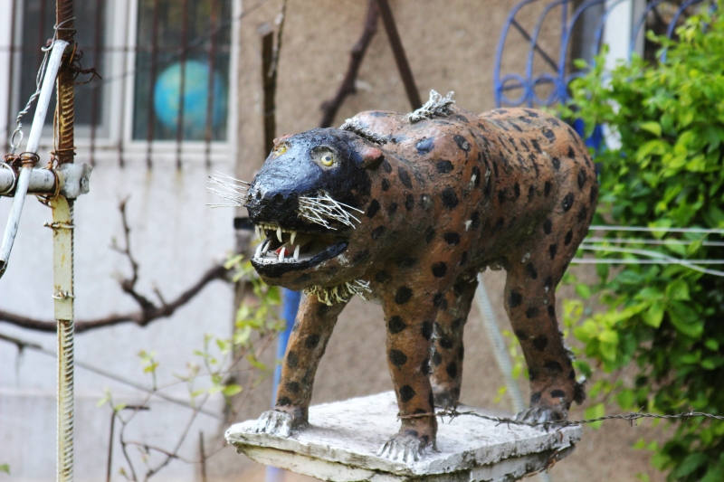 gradinile zoologice din fata blocurilor din constanta 545593 gradinile zoologice din fata blocurilor din constanta 545593