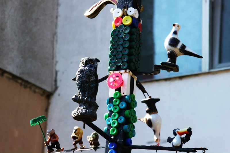 gradinile zoologice din fata blocurilor din constanta 545593 gradinile zoologice din fata blocurilor din constanta 545593