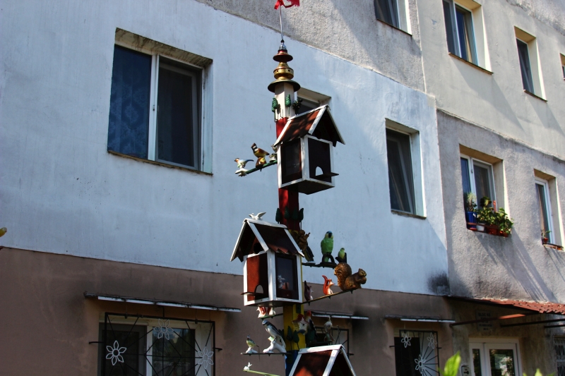 gradinile zoologice din fata blocurilor din constanta 545593 gradinile zoologice din fata blocurilor din constanta 545593