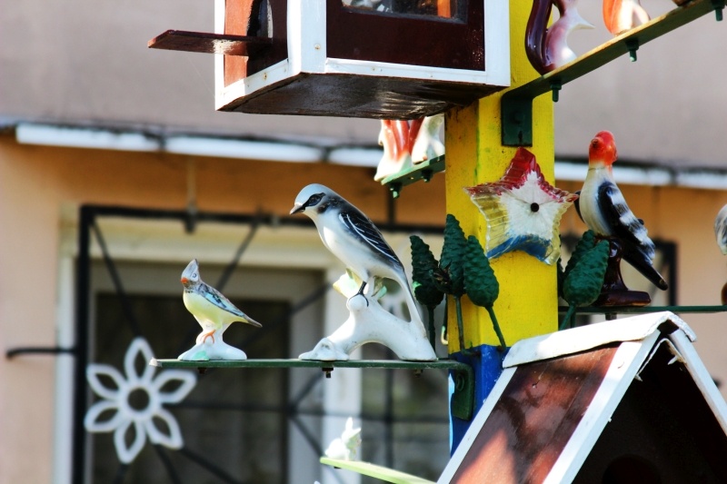 gradinile zoologice din fata blocurilor din constanta 545593 gradinile zoologice din fata blocurilor din constanta 545593