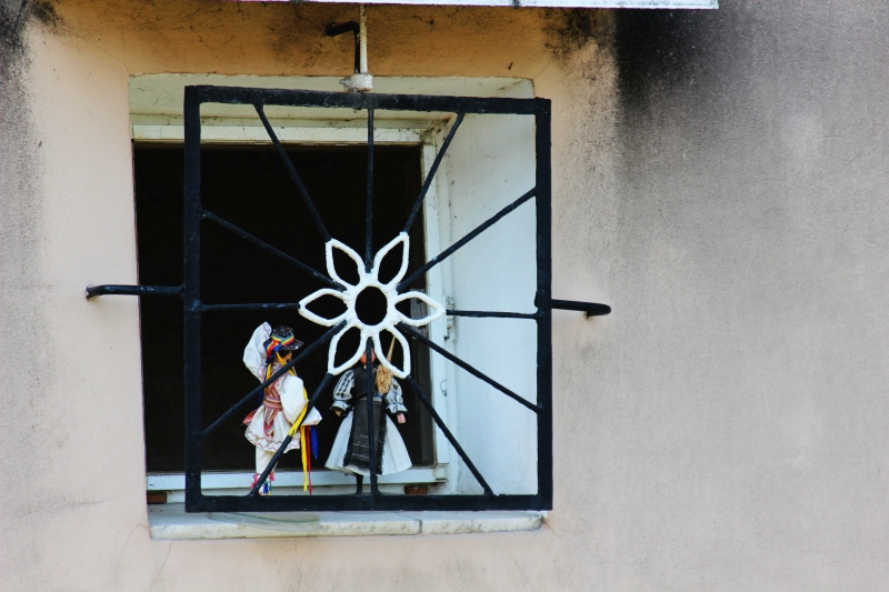 gradinile zoologice din fata blocurilor din constanta 545593 gradinile zoologice din fata blocurilor din constanta 545593