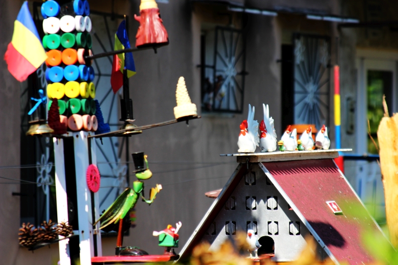 gradinile zoologice din fata blocurilor din constanta 545593 gradinile zoologice din fata blocurilor din constanta 545593