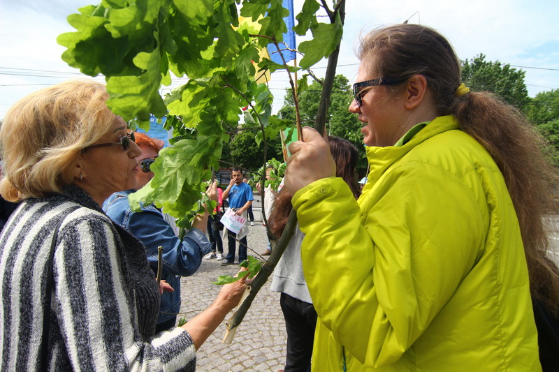cum devine un iubitor de mediu persona non grata acces interzis in city park mall constantenilor care cum devine un iubitor de mediu persona non grata acces interzis in city park mall constantenilor care