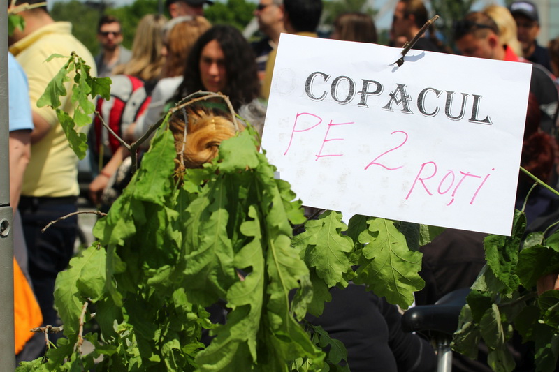 cum devine un iubitor de mediu persona non grata acces interzis in city park mall constantenilor care cum devine un iubitor de mediu persona non grata acces interzis in city park mall constantenilor care