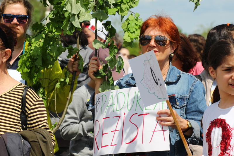 cum devine un iubitor de mediu persona non grata acces interzis in city park mall constantenilor care cum devine un iubitor de mediu persona non grata acces interzis in city park mall constantenilor care