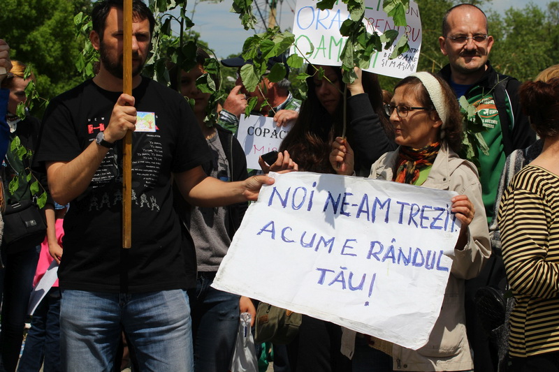 cum devine un iubitor de mediu persona non grata acces interzis in city park mall constantenilor care cum devine un iubitor de mediu persona non grata acces interzis in city park mall constantenilor care