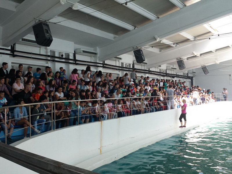 actiune ampla dedicata copiilor tatari organizata de udttmr galerie foto 549699 actiune ampla dedicata copiilor tatari organizata de udttmr galerie foto 549699