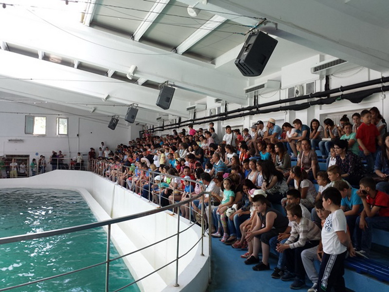 actiune ampla dedicata copiilor tatari organizata de udttmr galerie foto 549699 actiune ampla dedicata copiilor tatari organizata de udttmr galerie foto 549699