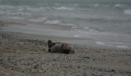 Un bărbat s-a înecat la Mangalia şi un altul s-a zdrobit de stabilopozi la Jupiter