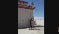 Funny video Farsa cu scara