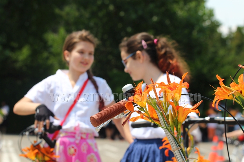 fotoreportaj bicicleta promovata ca mijloc de transport in consatanta galerie foto 552734 fotoreportaj bicicleta promovata ca mijloc de transport in consatanta galerie foto 552734