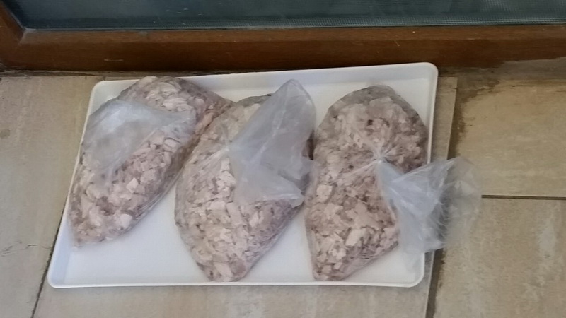 meniul turistilor sub lupa comisarilor cjpc autoservirea azur inchisa restaurantul la balansoar si terasa meniul turistilor sub lupa comisarilor cjpc autoservirea azur inchisa restaurantul la balansoar si terasa