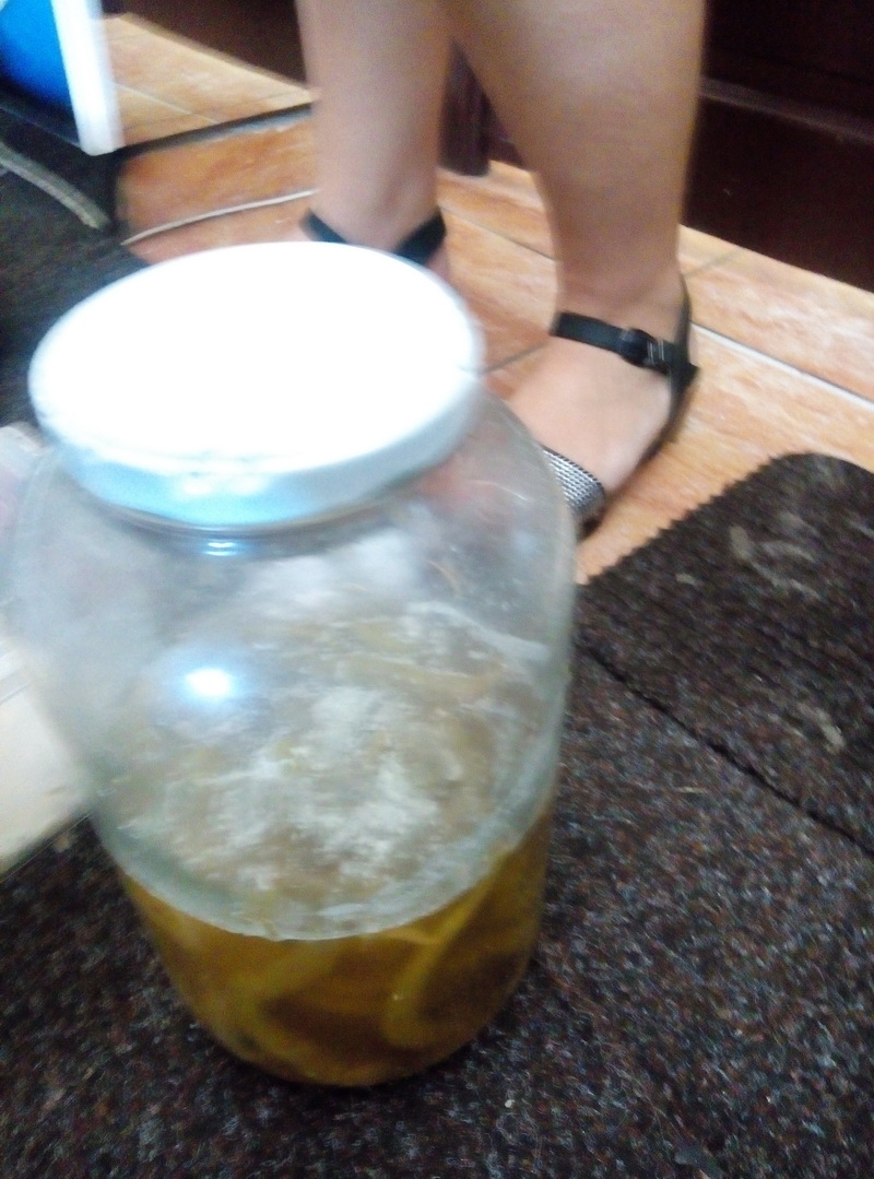 meniul turistilor sub lupa comisarilor cjpc autoservirea azur inchisa restaurantul la balansoar si terasa meniul turistilor sub lupa comisarilor cjpc autoservirea azur inchisa restaurantul la balansoar si terasa