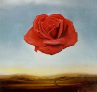 Pictura zilei „Meditative Rose” de Salvador Dali 