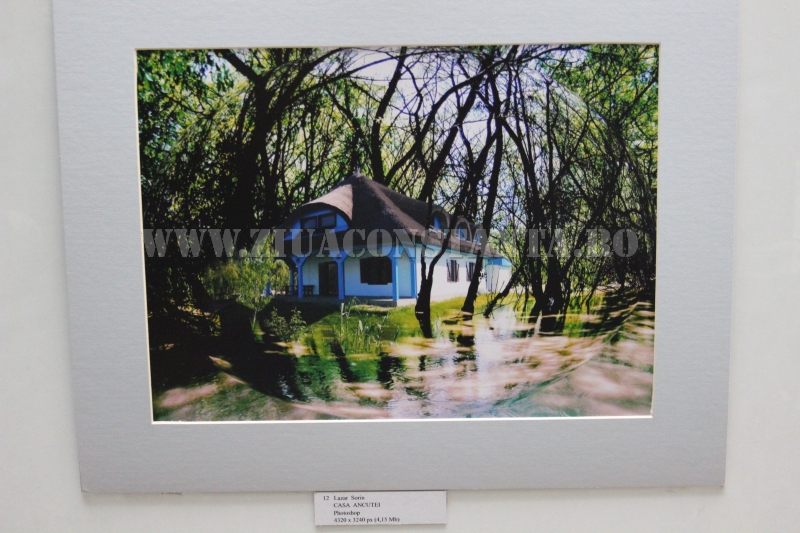 judecatoarea liliana lazar pictorita din justitia constanteana 554466 judecatoarea liliana lazar pictorita din justitia constanteana 554466