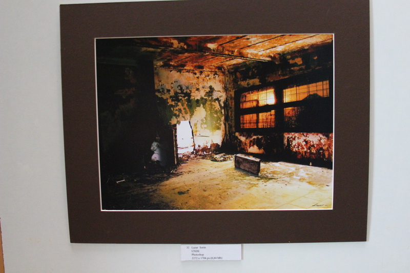 judecatoarea liliana lazar si a expus tablourile galerie foto 554545 judecatoarea liliana lazar si a expus tablourile galerie foto 554545