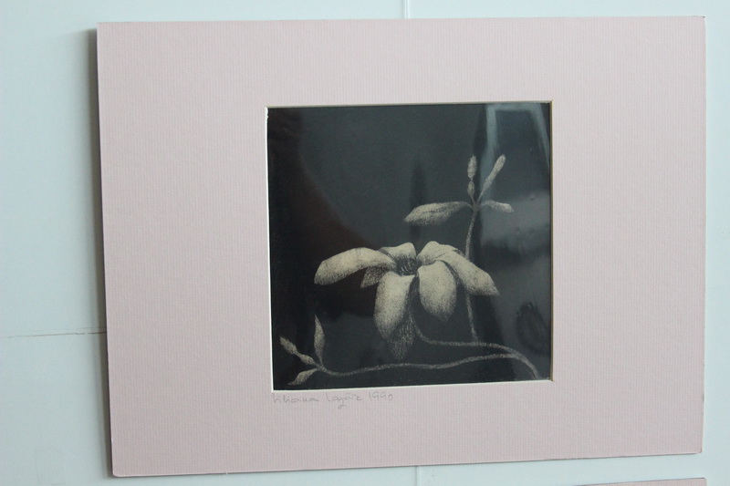 judecatoarea liliana lazar si a expus tablourile galerie foto 554545 judecatoarea liliana lazar si a expus tablourile galerie foto 554545