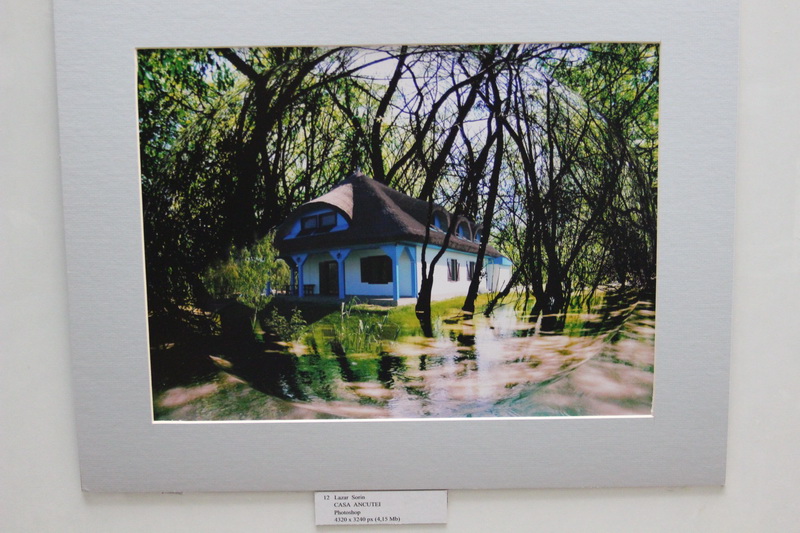 judecatoarea liliana lazar si a expus tablourile galerie foto 554545 judecatoarea liliana lazar si a expus tablourile galerie foto 554545