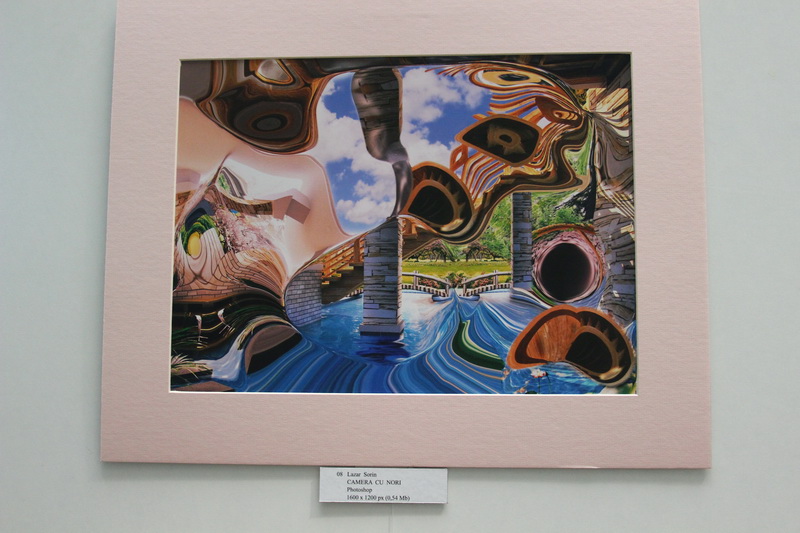 judecatoarea liliana lazar si a expus tablourile galerie foto 554545 judecatoarea liliana lazar si a expus tablourile galerie foto 554545