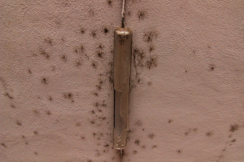 ruine mizerie decadenta constanta in vara lui 2015 galerie foto 555405 ruine mizerie decadenta constanta in vara lui 2015 galerie foto 555405