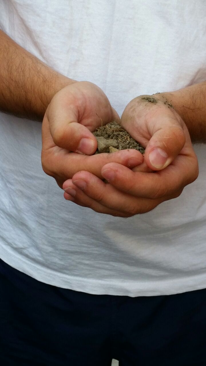 tinerii unionisti basarabeni au ajuns la cumpana am venit sa te salut fratele meu de peste prut galerie tinerii unionisti basarabeni au ajuns la cumpana am venit sa te salut fratele meu de peste prut galerie