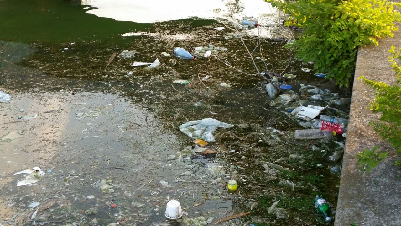 o oaza de liniste inconjurata de gunoaie pe lacul tabacarie 558368 o oaza de liniste inconjurata de gunoaie pe lacul tabacarie 558368