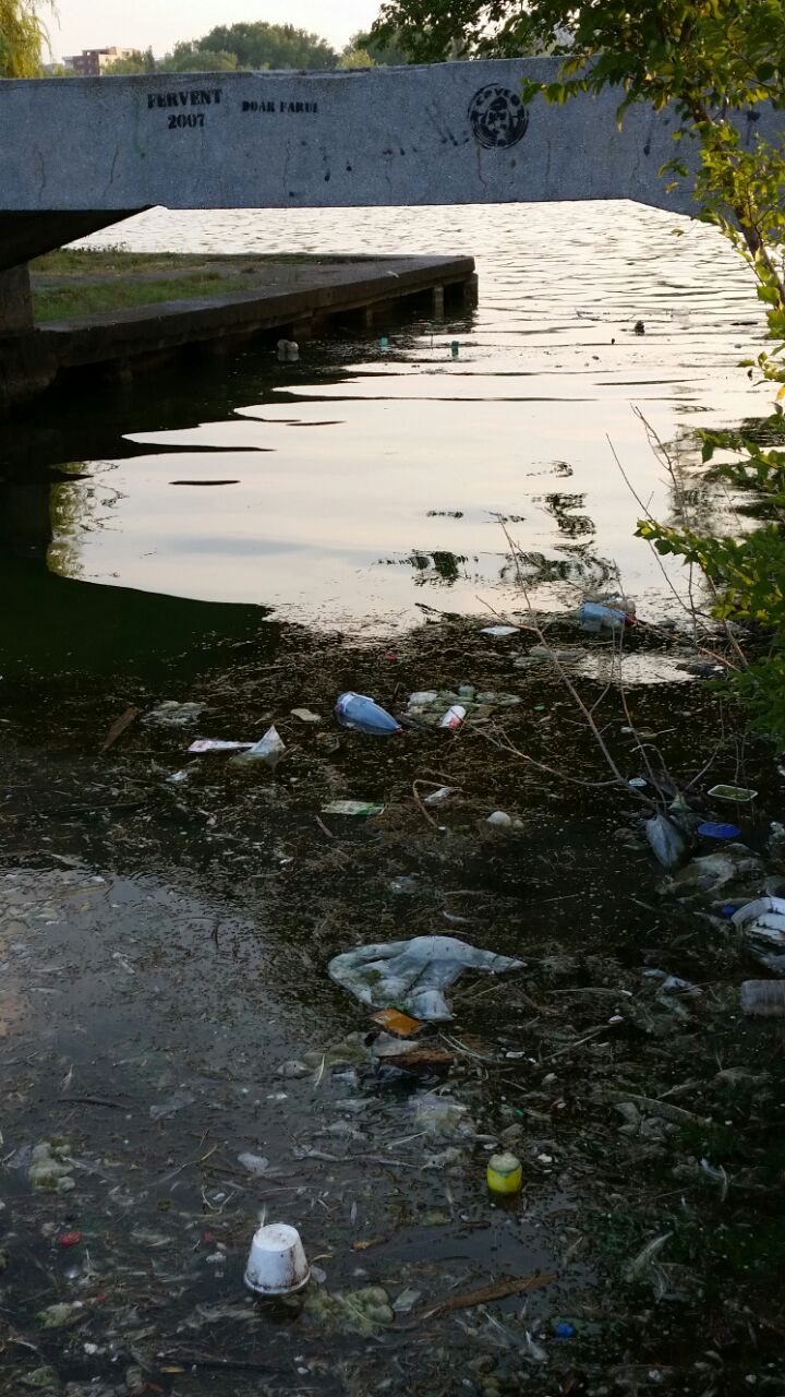 o oaza de liniste inconjurata de gunoaie pe lacul tabacarie 558368 o oaza de liniste inconjurata de gunoaie pe lacul tabacarie 558368