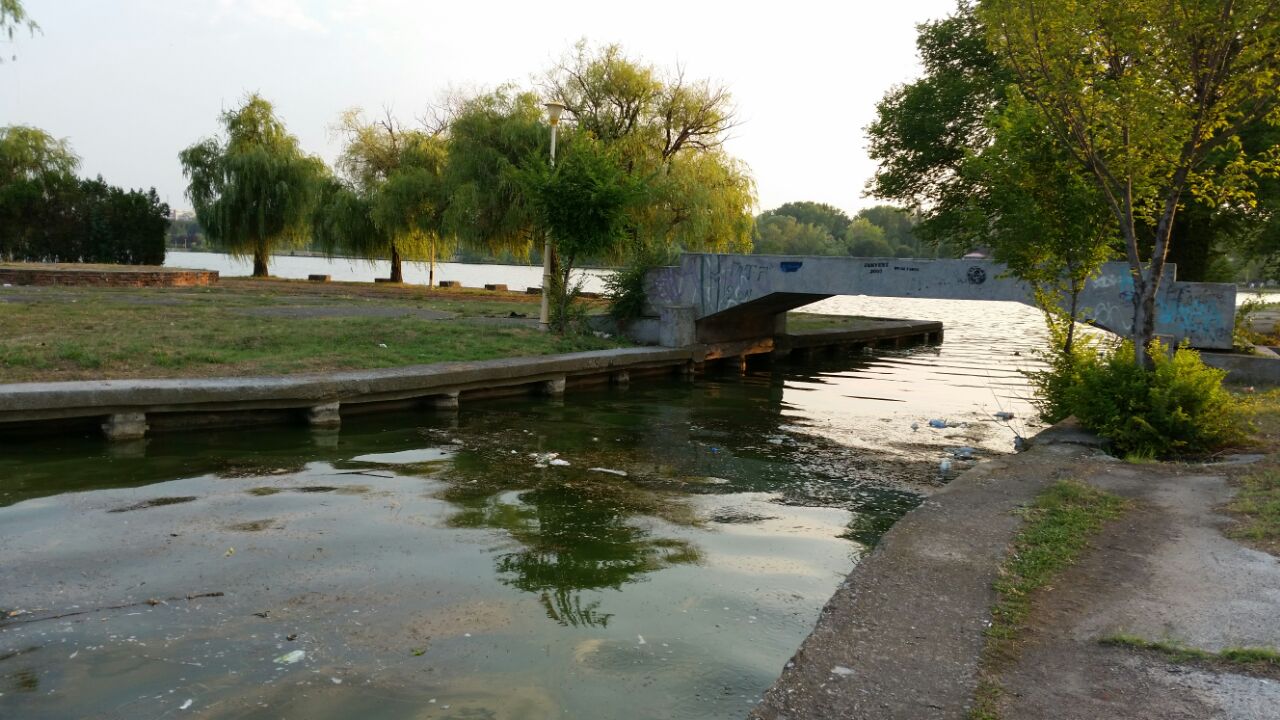 o oaza de liniste inconjurata de gunoaie pe lacul tabacarie 558368 o oaza de liniste inconjurata de gunoaie pe lacul tabacarie 558368