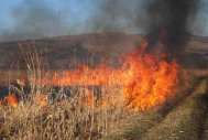 Incendiu de vegetație uscată între Hârșova și Ghindărești
