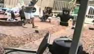 Funny video  Momente nostime