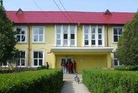 Liceul Cobadin organizează concurs. Interviul e programat în iunie