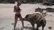Funny video Încercaţi să nu râdeţi