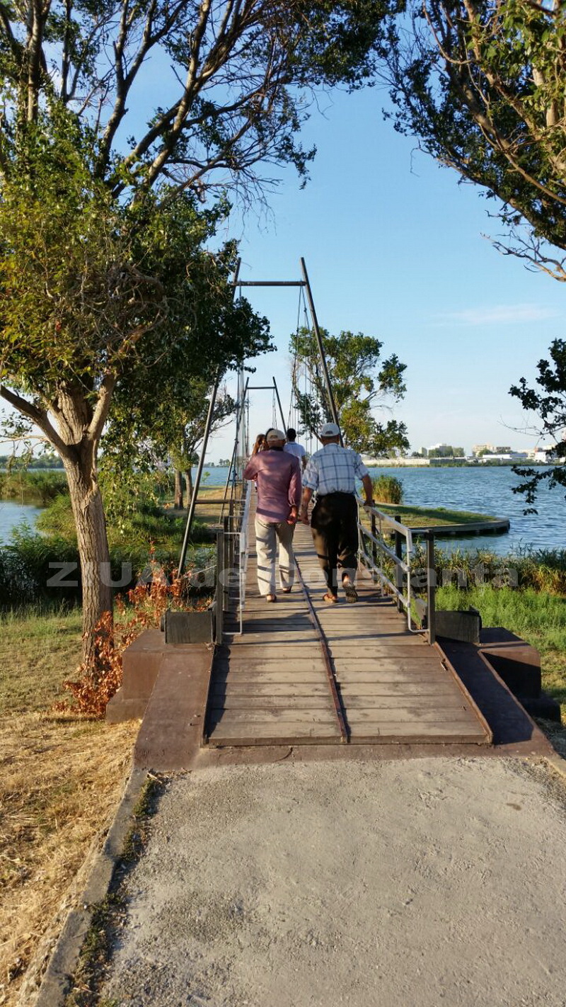 o oaza de liniste inconjurata de caini vagabonzi in parcul tabacarie galerie foto 559873 o oaza de liniste inconjurata de caini vagabonzi in parcul tabacarie galerie foto 559873