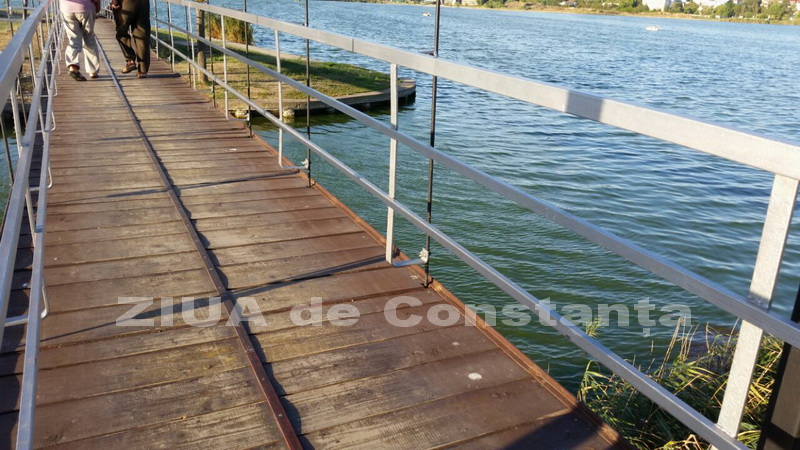 o oaza de liniste inconjurata de caini vagabonzi in parcul tabacarie galerie foto 559873 o oaza de liniste inconjurata de caini vagabonzi in parcul tabacarie galerie foto 559873