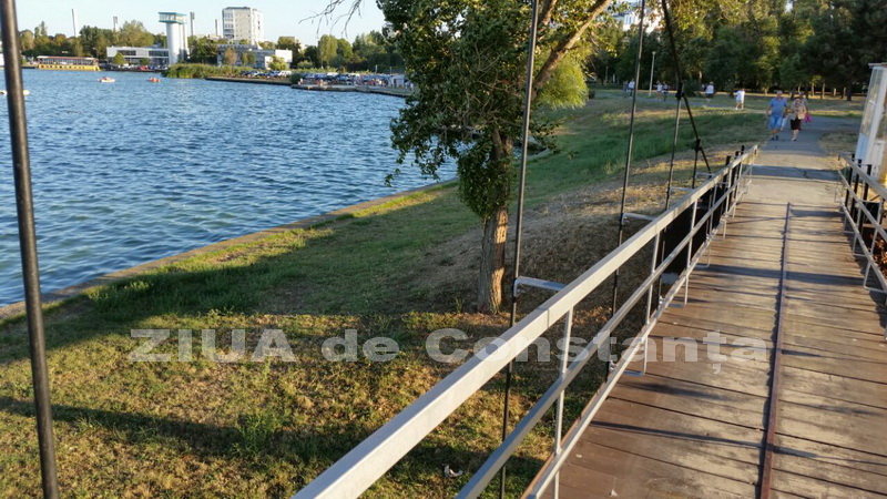 o oaza de liniste inconjurata de caini vagabonzi in parcul tabacarie galerie foto 559873 o oaza de liniste inconjurata de caini vagabonzi in parcul tabacarie galerie foto 559873