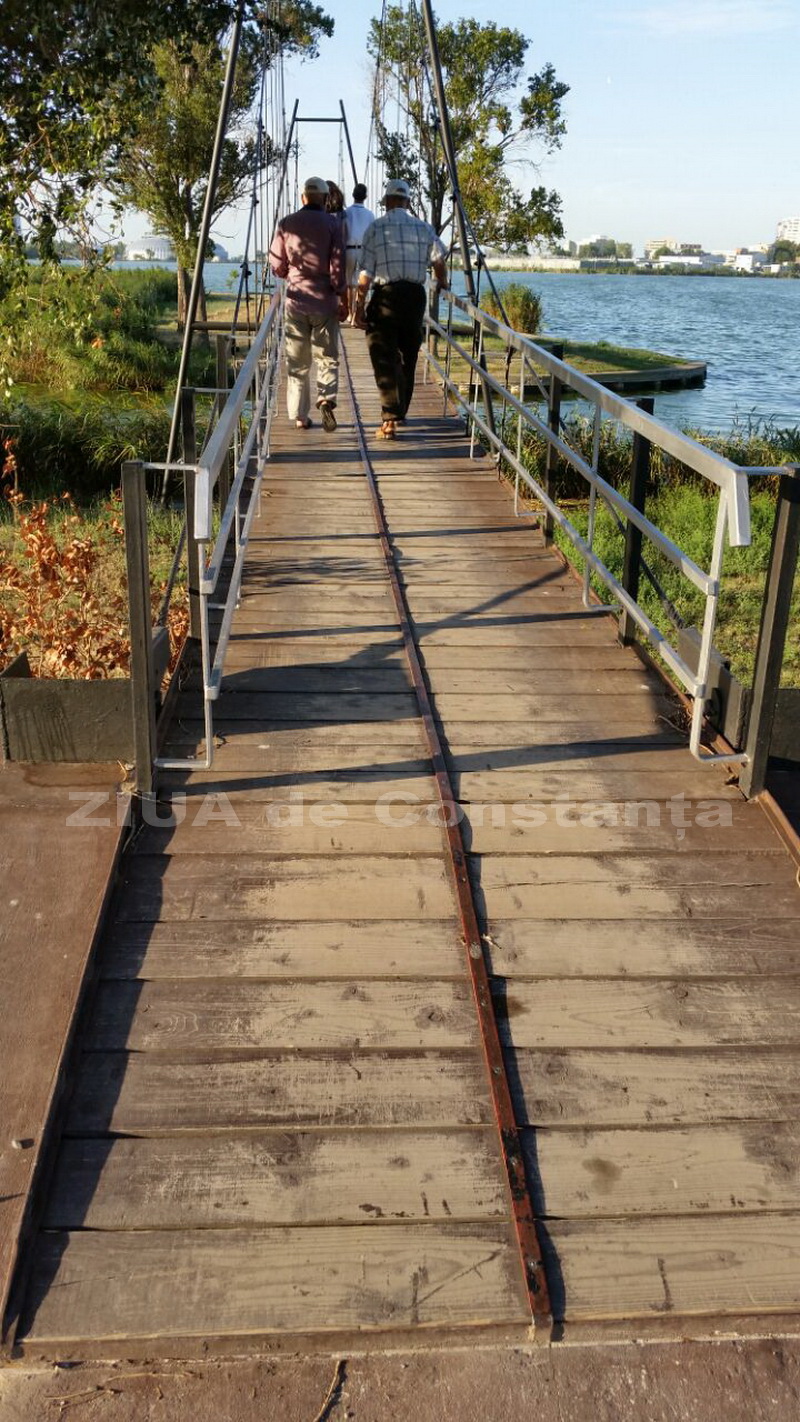 o oaza de liniste inconjurata de caini vagabonzi in parcul tabacarie galerie foto 559873 o oaza de liniste inconjurata de caini vagabonzi in parcul tabacarie galerie foto 559873