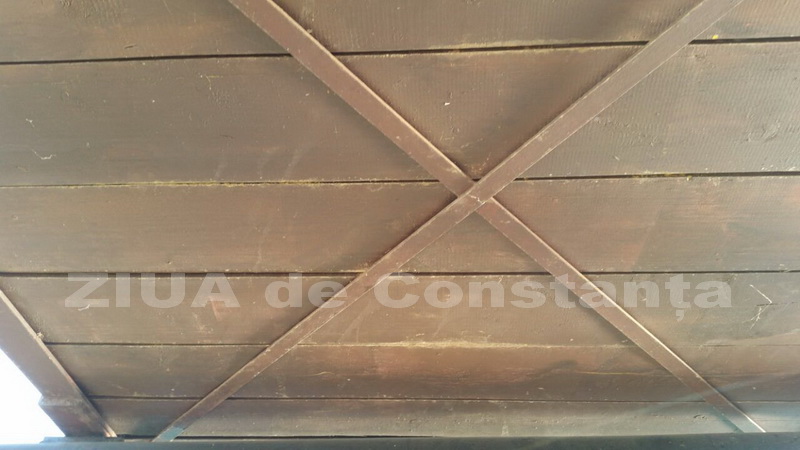 o oaza de liniste inconjurata de caini vagabonzi in parcul tabacarie galerie foto 559873 o oaza de liniste inconjurata de caini vagabonzi in parcul tabacarie galerie foto 559873