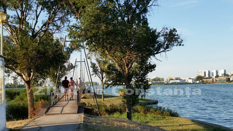 o oaza de liniste inconjurata de caini vagabonzi in parcul tabacarie galerie foto 559873 o oaza de liniste inconjurata de caini vagabonzi in parcul tabacarie galerie foto 559873
