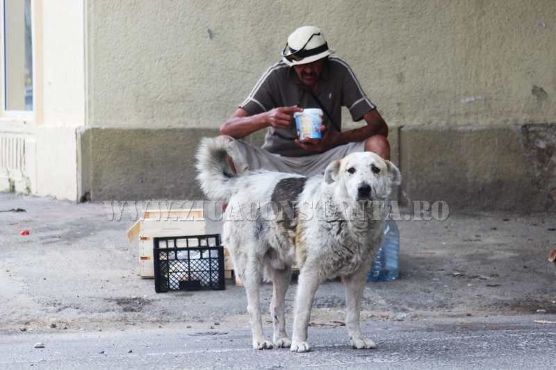 strada stefan cel mare intre marire si decadere 560252 strada stefan cel mare intre marire si decadere 560252