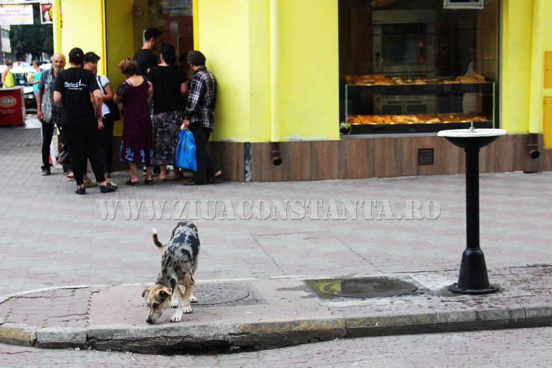 strada stefan cel mare intre marire si decadere 560252 strada stefan cel mare intre marire si decadere 560252