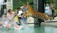 Funny video La grădina Zoologică