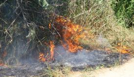 Incendiu în cartierul Poarta 6