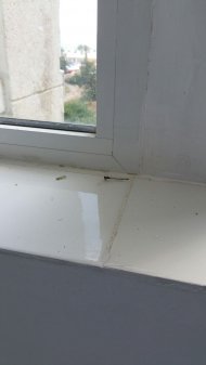 Amenzi cu repetiție Hotelurile \